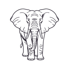 Elegant Elephant Line Art and Silhouette Vector Design