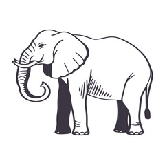 Elegant Elephant Line Art and Silhouette Vector Design