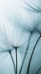 Close-Up of Delicate Dandelion Seeds with Soft Blue Background