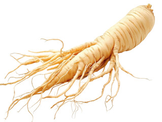 Ginseng root isolated on a transparent background 