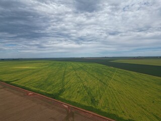 very large plantation field and car passing in the background, soybean planting in Brazil (campo de plantação muito grande e carro passando no fundo, plantio de soja no brasil)