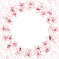 Wreath of sakura flowers isolated on a white background. Spring blooming cherry blossom flowers for Hanami festival. Delicate shades of pink, lilac, violet petals. Watercolor template for card, poster