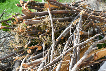 Closeup of a pile of freshly cut and stacked wood