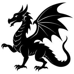 black dragon vector