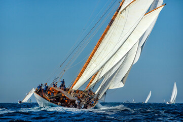 Sailing yachts regatta. Yachting. Sailing race © Alvov