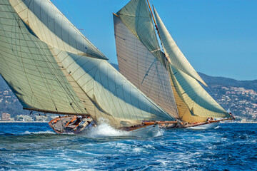 Sailing yachts regatta. Yachting. Sailing race
