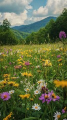 Obraz premium Colorful Wildflower Meadow Under Dramatic Sky in Mountain Landscape