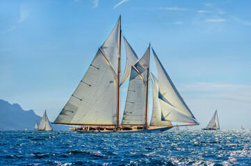 Fototapeta premium Sailing yachts regatta. Yachting. Sailing race