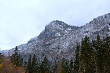 Majestic mountain with snow covered forest bellow in winter above Voje in Gorenjska, Slovenia
