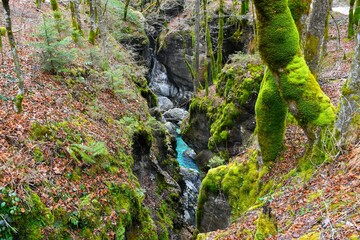 View of Mostnica gorge in Gorenjska, Slovenia
