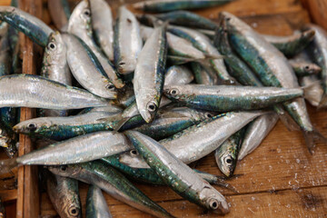A close-up of fresh sardines with shiny silver and blue-green scales, displayed in a wooden crate...