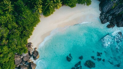 Aerial View of Tranquil Beach with Clear Water and Lush Greenery