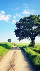 Summer country road landscape outdoors horizon.
