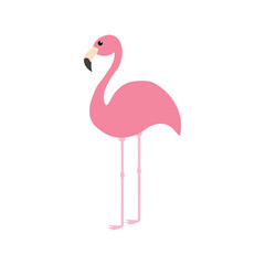 Pink flamingo illustration. Exotic tropical birds. Zoo animals. Cute cartoon characters. Decor elements. Flat design.