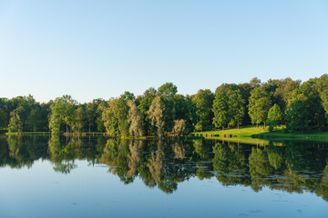 Reflection of green trees and clear sky in a pond, as if in a mirror, creating a symmetrical...