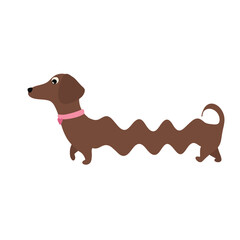 Wavy Dachshund Dog