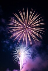 Obraz premium Pink and Silver Fireworks Display in Night Sky