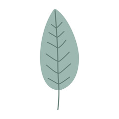 Plant leaf, branch colorful. Icon, vector