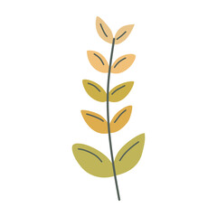 Plant leaf, branch colorful. Icon, vector