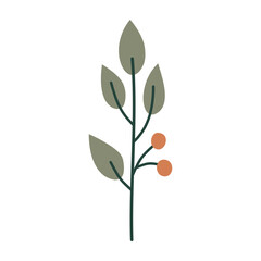 Obraz premium Plant leaf, branch colorful. Icon, vector