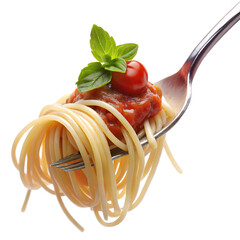 spaghetti with tomato sauce on fork