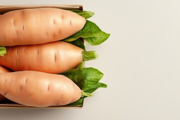 Discover vibrant culinary inspiration with these Raw orange sweet potatoes arranged on a light background, menu or recipe concept, top view Fresh, healthy ingredients are perfectly displayed