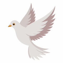 Obraz premium Cute bird pigeon in flight. illustration dove isolated on white background. Suitable for education poster ornithology, ,children's books. Pro Vector