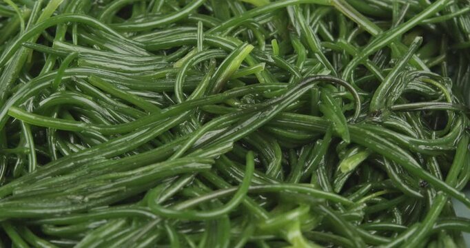 sauteed opposite-leaved saltwort closeup rotating selective focus 4k 30fps