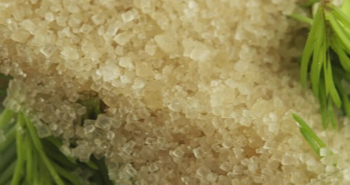 fresh spruce tips and brown cane sugar in a jar for preparing a spruce tip sirup closeup rotating selective focus 4k 30fps