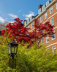 View in Inner Temple, London