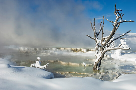 Yellowstone Park Winter hot Spring