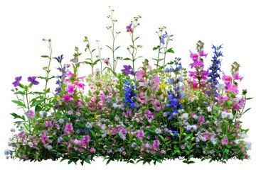Fototapeta premium Vibrant wildflower garden blooms