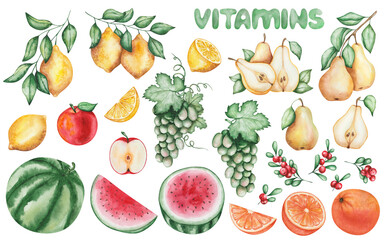 Watercolor illustration. Fruit set. Hand painted yellow lemons, pears, apples, watermelons, oranges, grapes, red berries. Raw, ripe, whole, cut in half, sliced fruits. Vitamins. Isolated food clip art