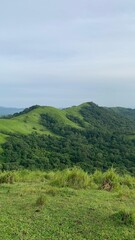 Obraz premium beautiful scenery