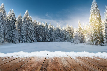 Wooden floor with copy space or plank in Frozen winter forest covered snow in sunshine. Sun shining through snow covered trees, snowy mountain valley, winter seasonal landscape, beautiful nature