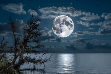 Naklejka premium moon over water