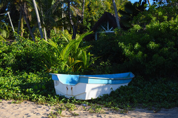 Boat on land with plants