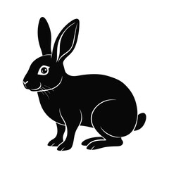 rabbit vector illustration