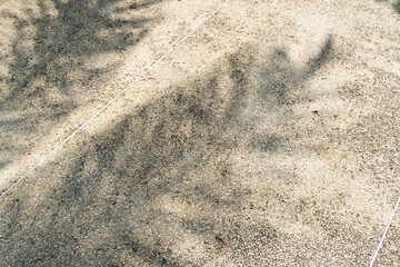 Shadows of palm leaves create intricate patterns on a smooth surface in Thailand.