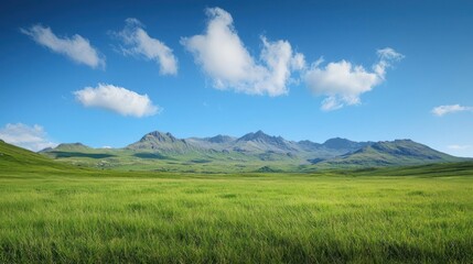 Fototapeta premium Vast Green Field and Mountain Range Under a Blue Sky