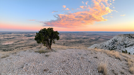 Sunset over plains, lone tree on hilltop, panoramic view, nature background, travel photography