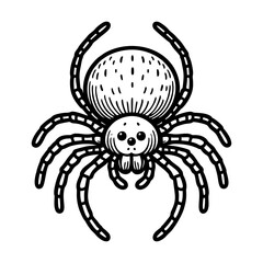 Spider illustration