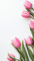 Obraz premium White frame background, pink tulip flowers in the corner
