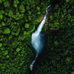 Experience the beauty of a vibrant forest with a stunning waterfall cascading through, captured from above. A perfect scene of nature's splendor.
