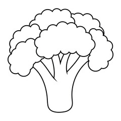 Broccoli vector illustration. Healthy vegetable outline drawing for food, nutrition, and organic design.