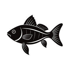 fish vector illustration
