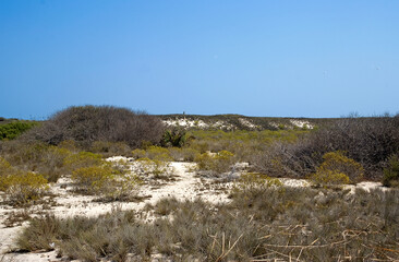 Réserve naturelle, Ile de Nosy Ve, Madagascar