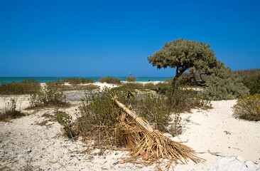 R&eacute;serve naturelle, Ile de Nosy Ve, Madagascar