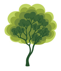 Forest foliage tree. Botanical natural flat vector illustration isolated on white background