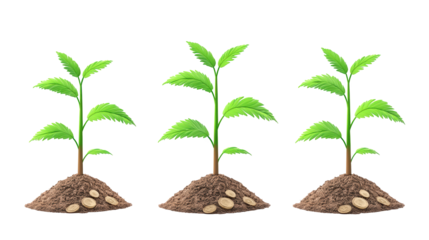 From tiny seed to verdant life, a captivating timelapse of plant growth and development